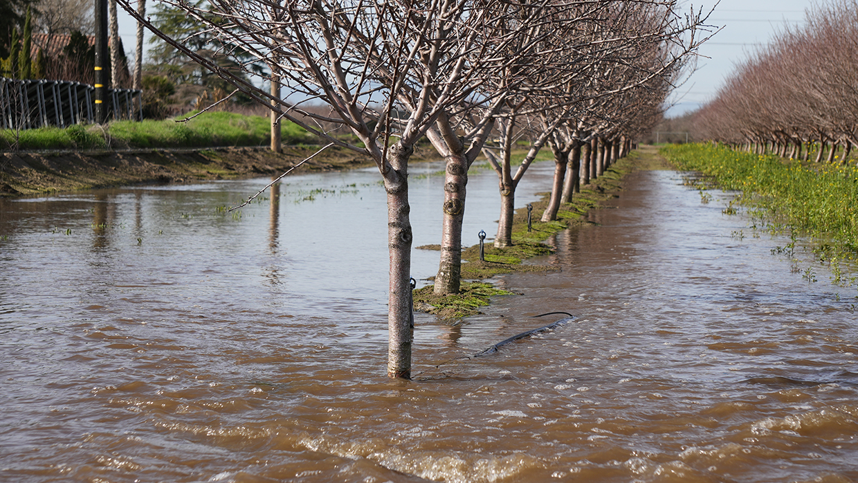 Groundwater Recharge